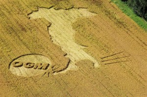 The rice art, crafted from rice plants, shows a map of Italy booting out the GMO (genetically modified organisms) logo. Greenpeace, responsible for the art, is asking the Italian government to keep the countrys rice GMO free and respect the rights for the Italian citizen to be able to have food choice.