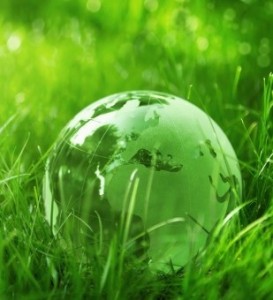 Green glass globe in the grass