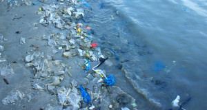 plastic free sea