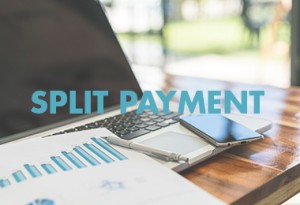 split-payment-professionisti