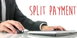 split-payment (3)