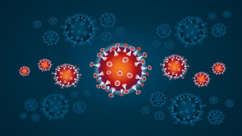coronavirus-falso-test-venduto-online