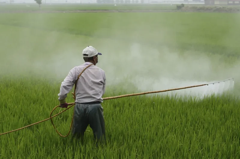 protesta agricoltori dietrofront ue pesticidi